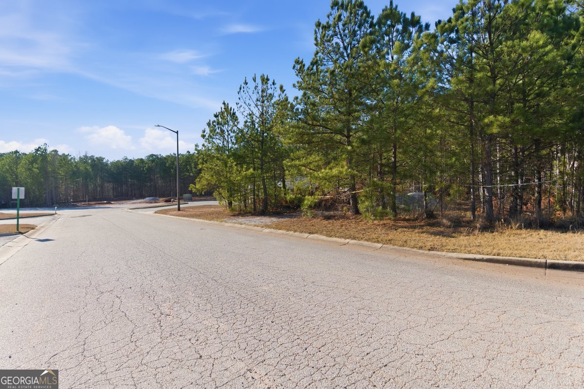 112 Redding Drive Bremen, GA 30110 - Photo 11 of 20 a view of outdoor space and yard