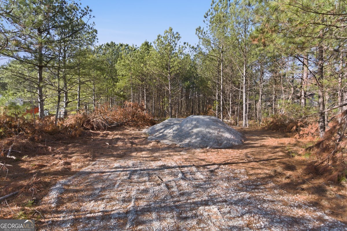 112 Redding Drive Bremen, GA 30110 - Photo 18 of 20 a view of a tree