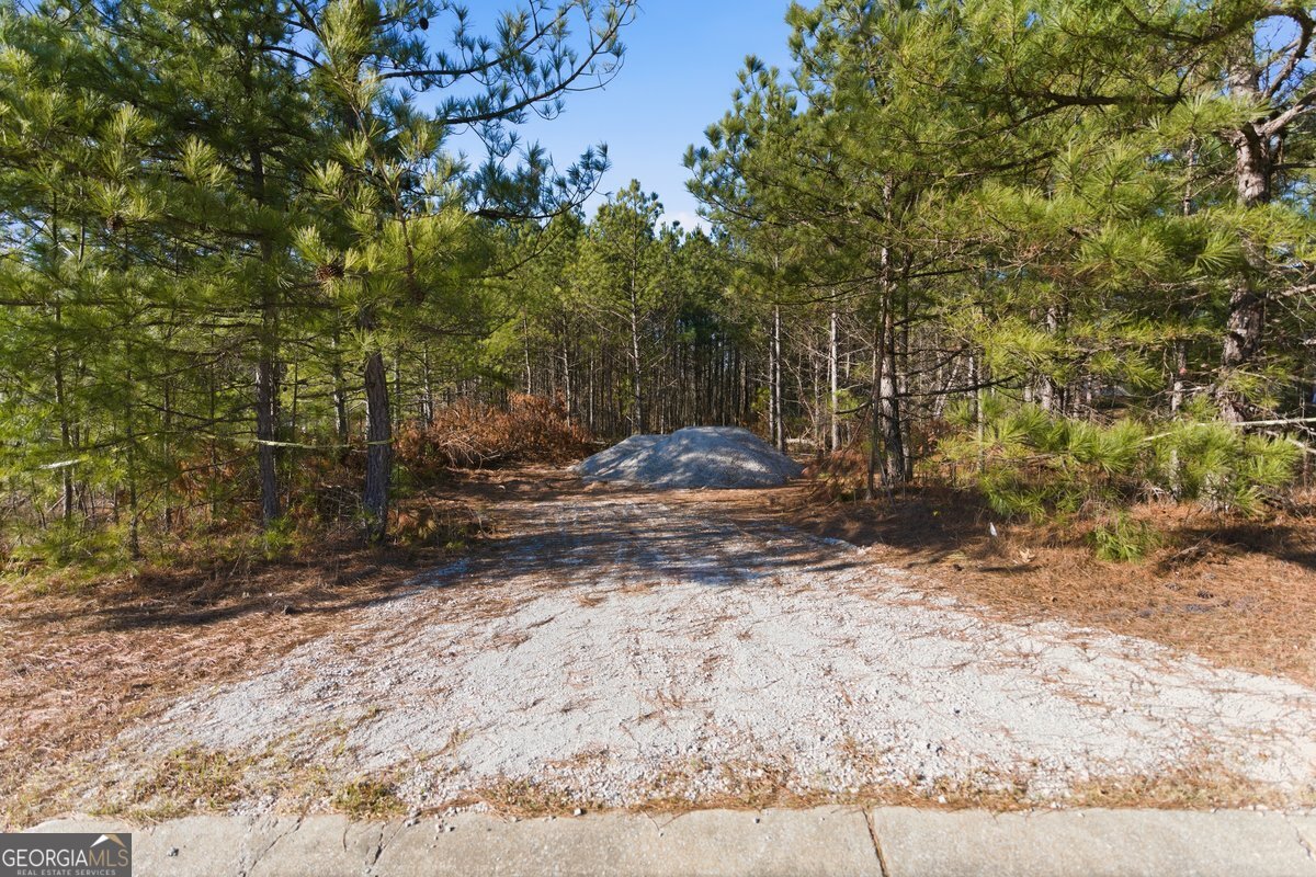 112 Redding Drive Bremen, GA 30110 - Photo 19 of 20 a view of a yard with large trees