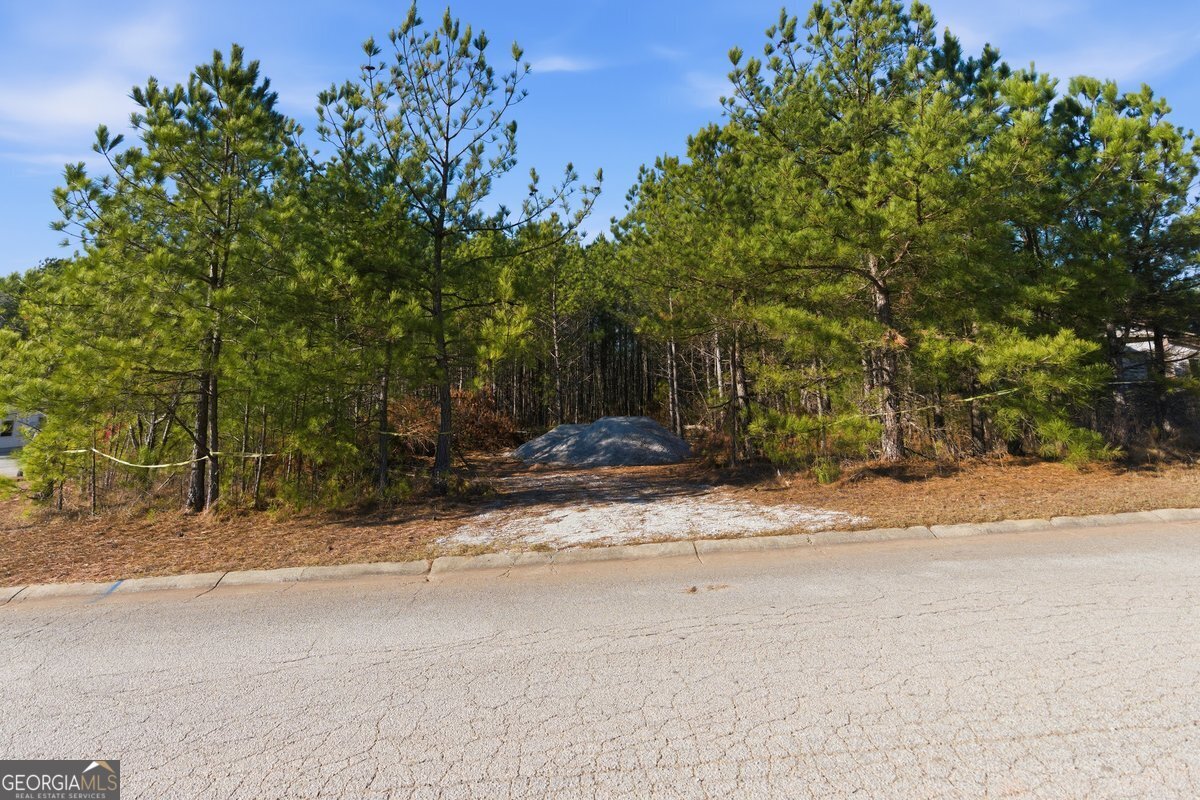 112 Redding Drive Bremen, GA 30110 - Photo 20 of 20 a view of a yard with plants and trees