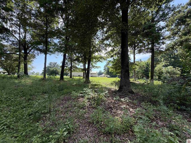 3003 Friendship Road Eddyville, KY 42038 - Photo 36 of 39 36
