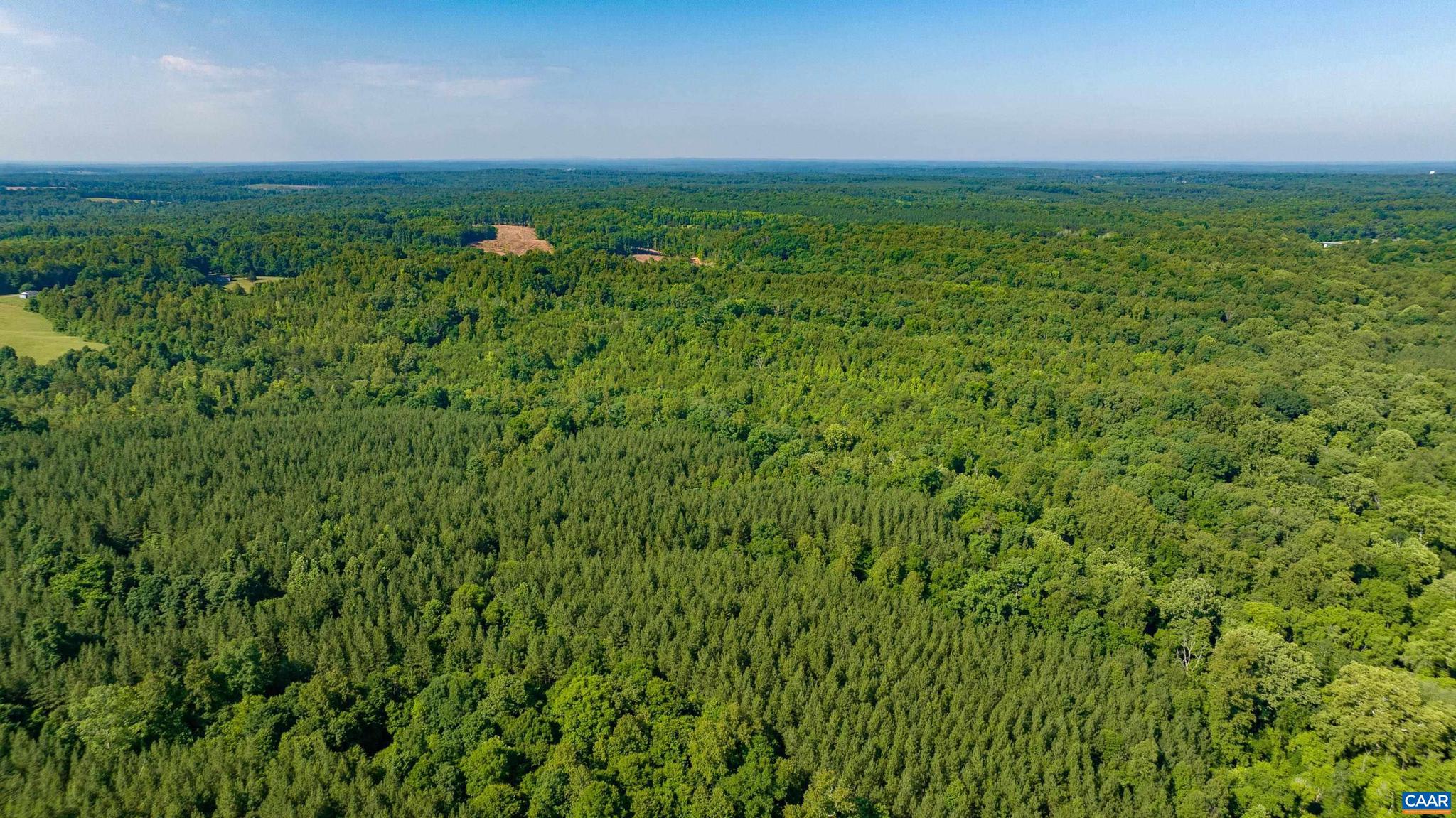 Lot 2 Stag Road Bremo Bluff, VA 23022 - Photo 19 of 21 a view of a lush green outdoor space with a lake view
