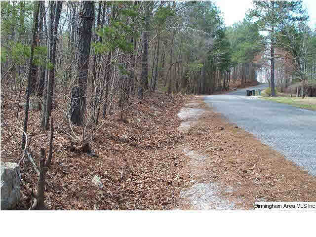 664 Mill Branch Road, Unit 17AC Jacksonville, AL 36265 - Photo 13 of 14