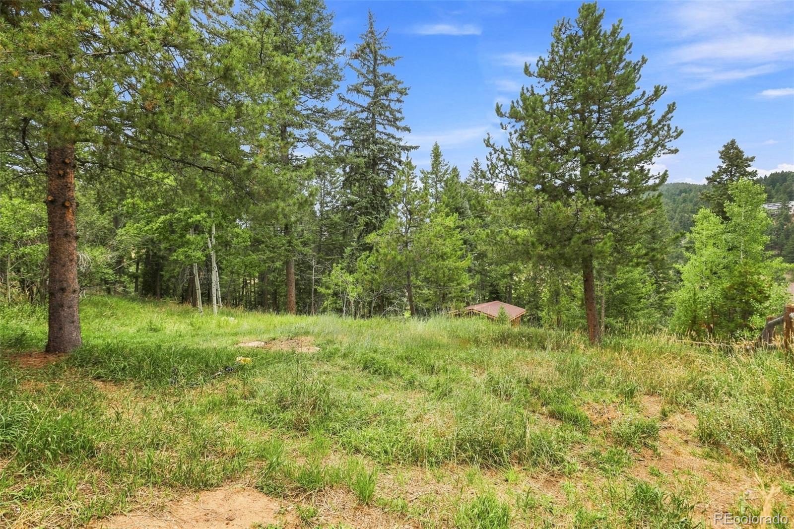 19133 Silver Ranch Road Conifer, CO 80433 - Photo 37 of 46 Gallery Image 37