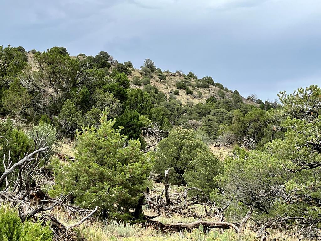 Tbd Ketchum Road Walsenburg, CO 81089 - Photo 18 of 22