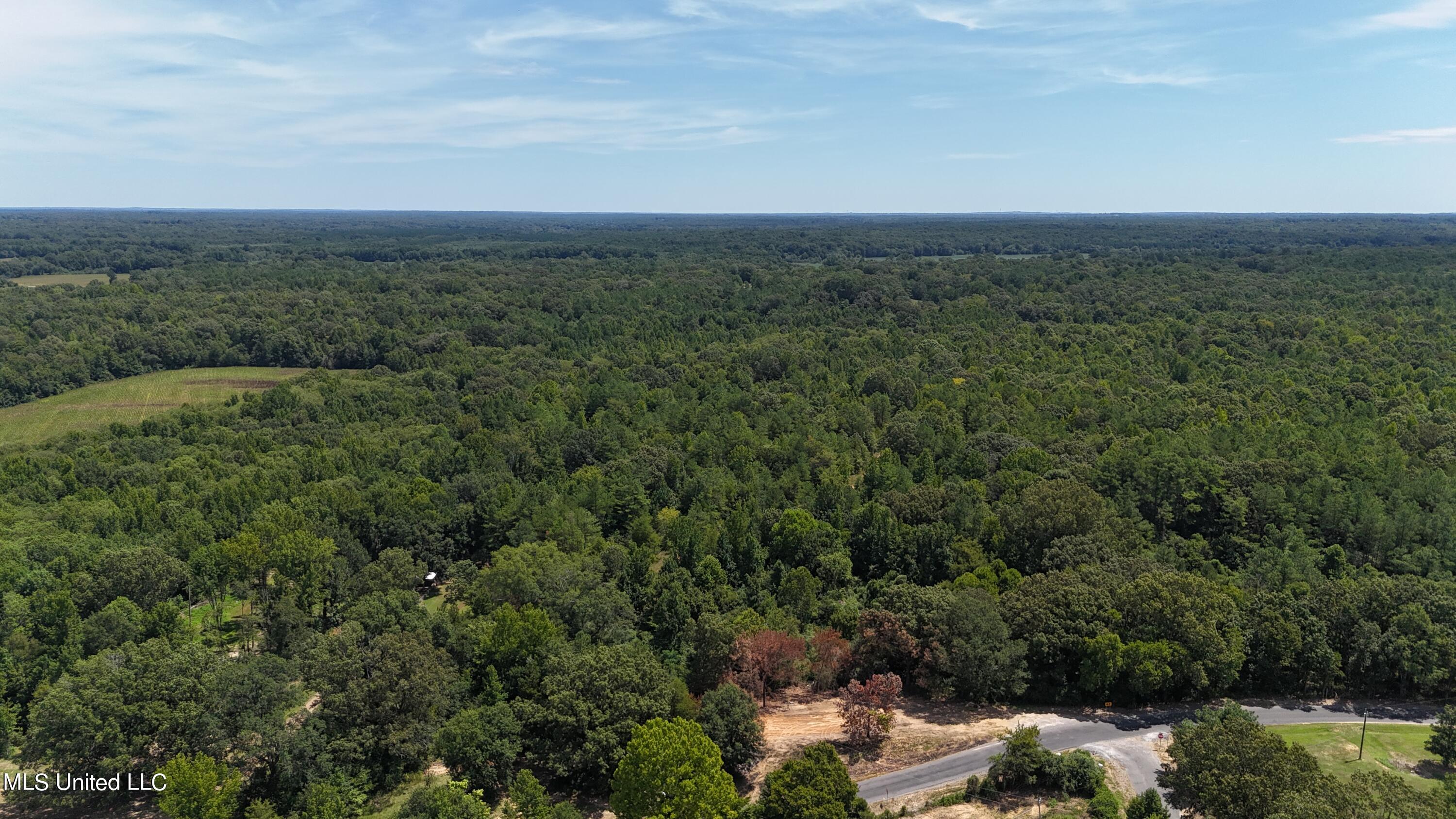 Old Memphis Oxford Road Coldwater, MS 38618 - Photo 29 of 37 DJI_20240811123222_0588_D