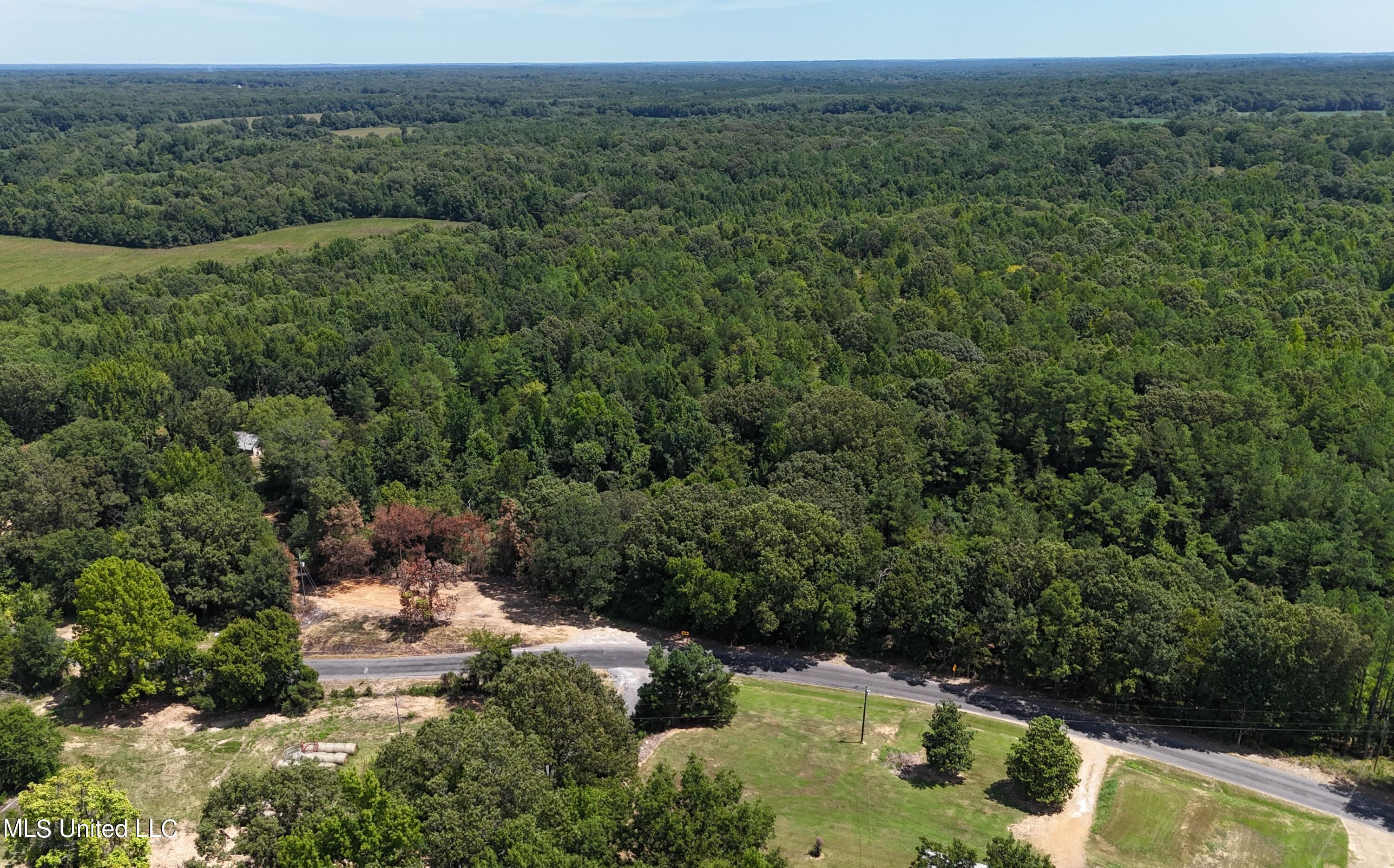 Old Memphis Oxford Road Coldwater, MS 38618 - Photo 6 of 37 DJI_20240811123244_0589_D
