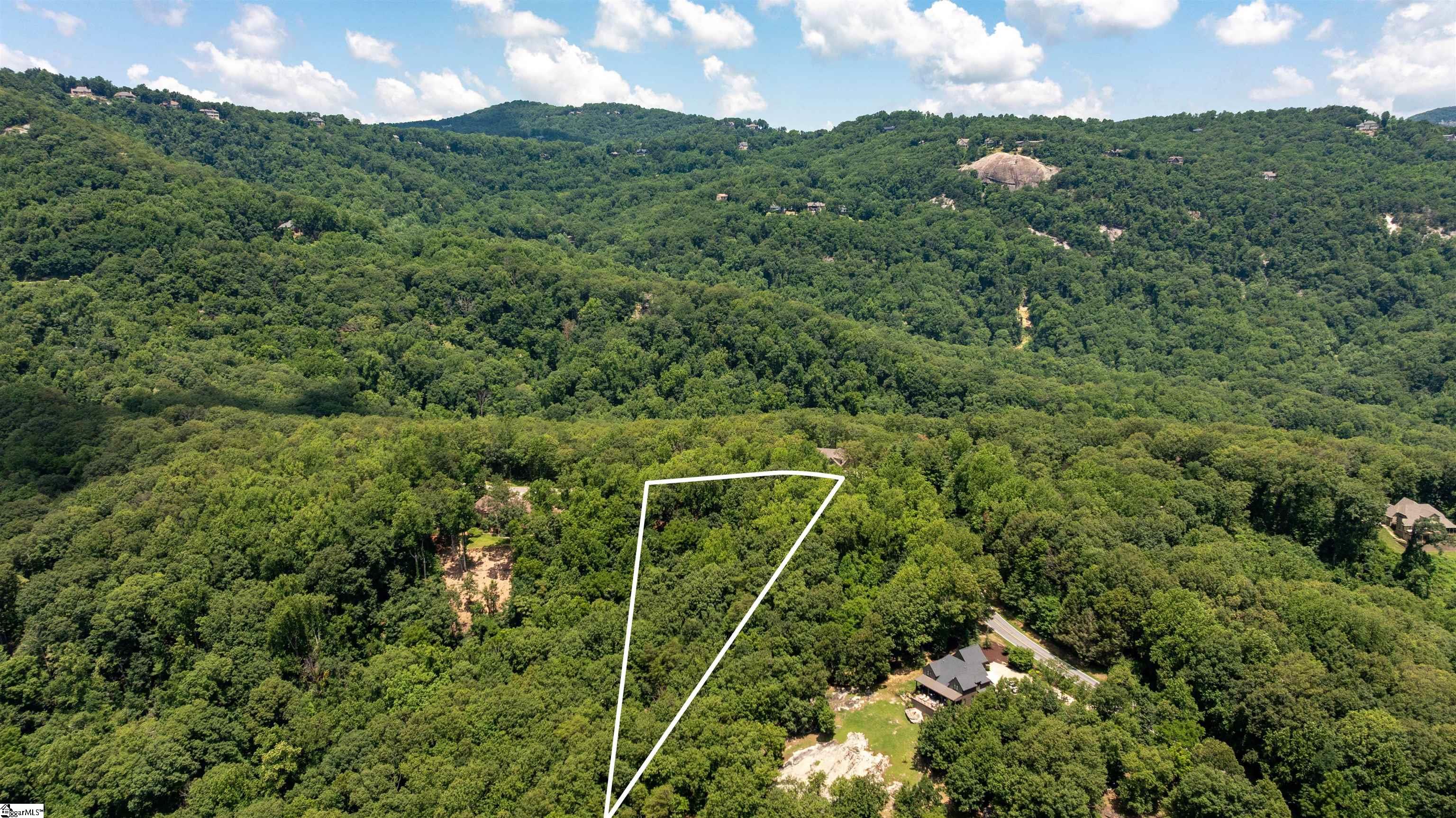 Lot 22 Plumley Summit Road Landrum, SC 29356 - Photo 7 of 27