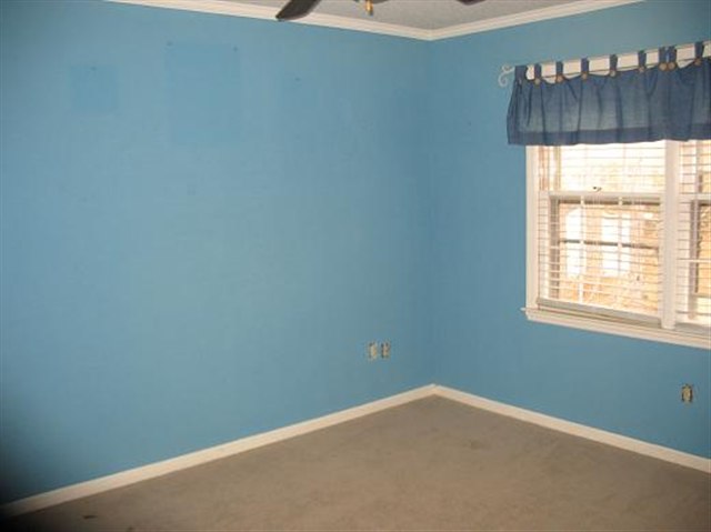 103 Wellington Road Easley, SC 29642 - Photo 14 of 16 Gallery Image 14