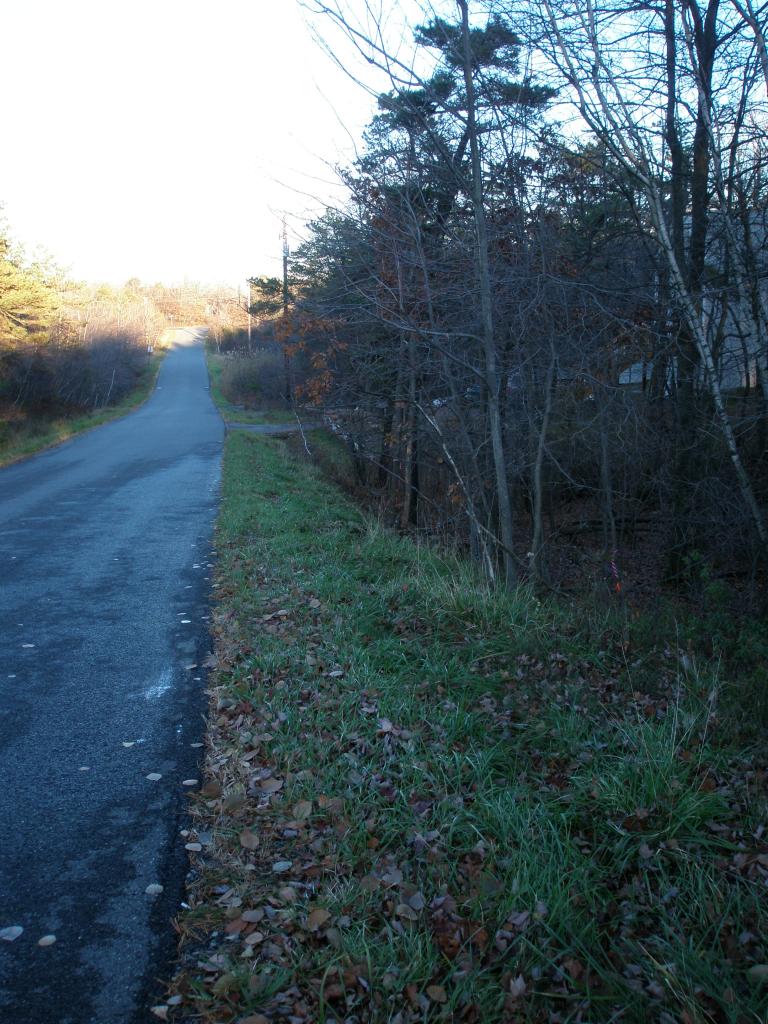 5940 Clover Road Long Pond, PA 18334 - Photo 3 of 7 downhill in front of lot