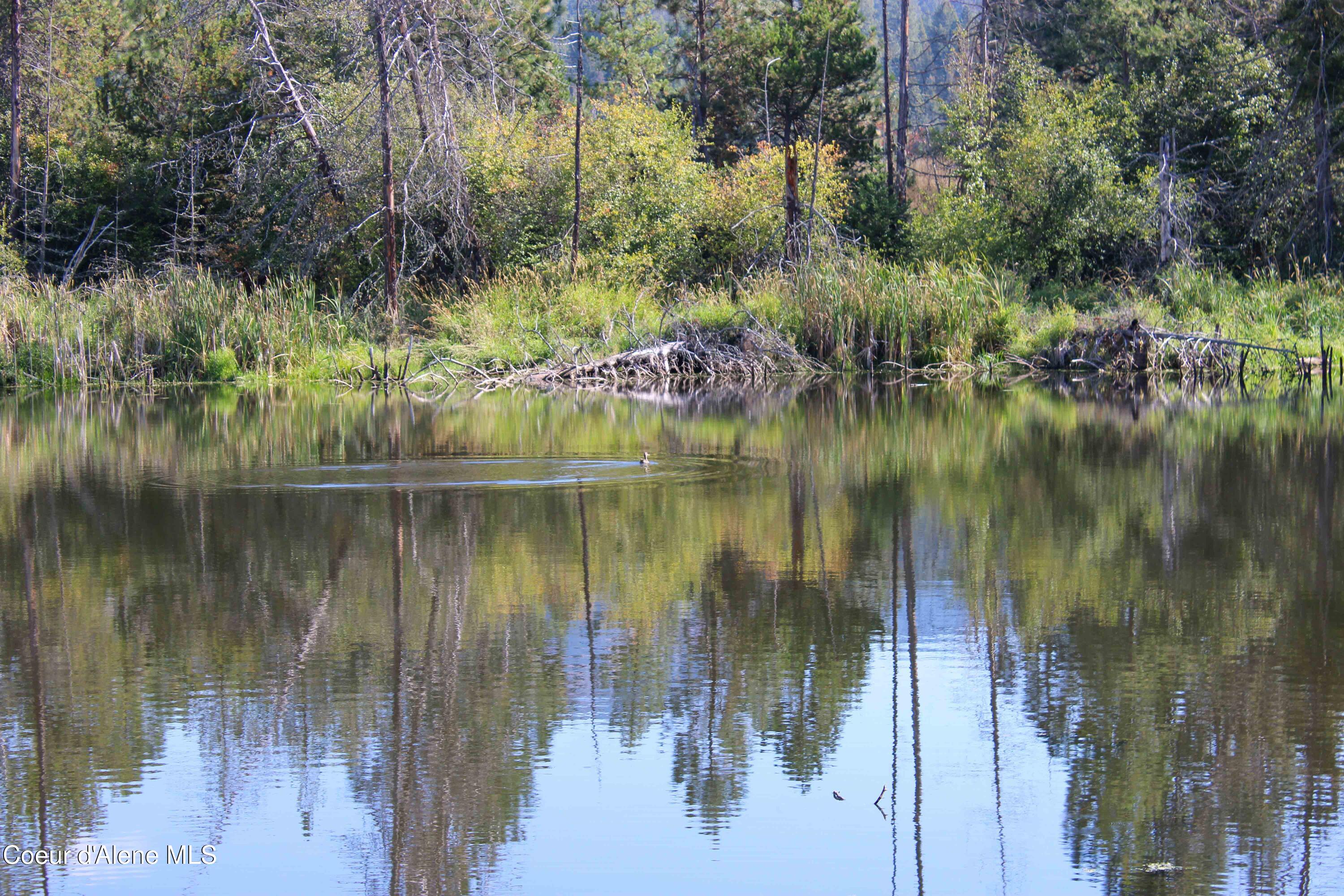 29 East Side Road Priest River, ID 83856 - Photo 21 of 50 21