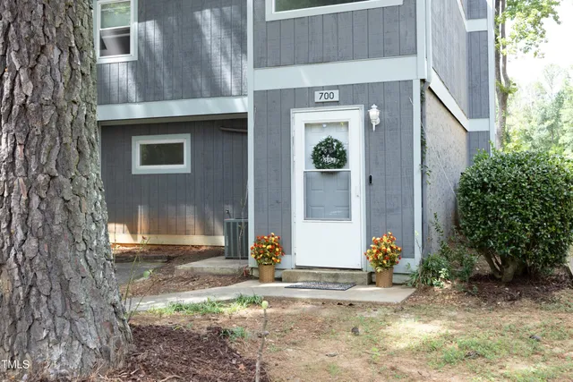 a view of a yard with plants and large trees