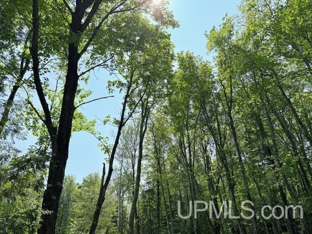 8690 Freda Road Atlantic Mine, MI 49905 - Photo 17 of 23 Gallery Image 17