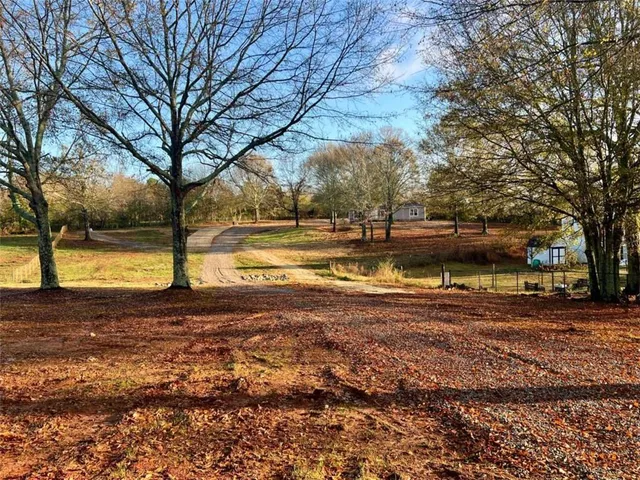 a view of a yard with a large tree