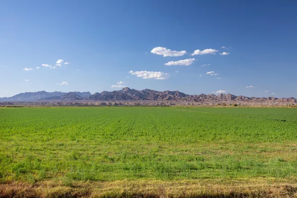 a view of a street with a slide