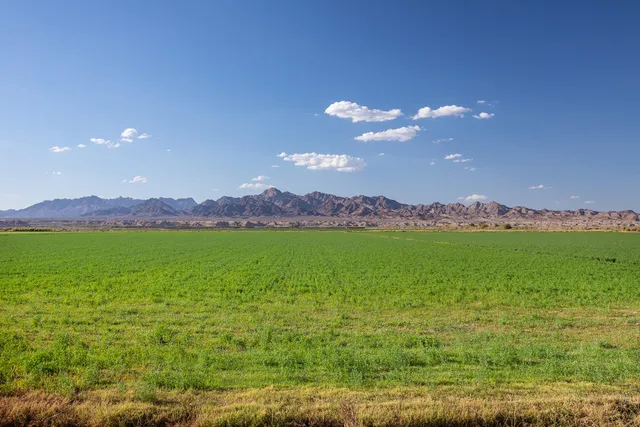 $1,400,000 | 9645 4th Avenue, Blythe, CA 92225