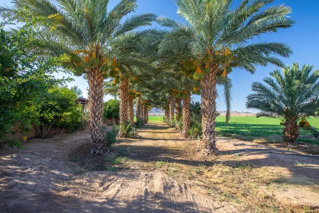 $1,400,000 | 9645 4th Avenue, Blythe, CA 92225