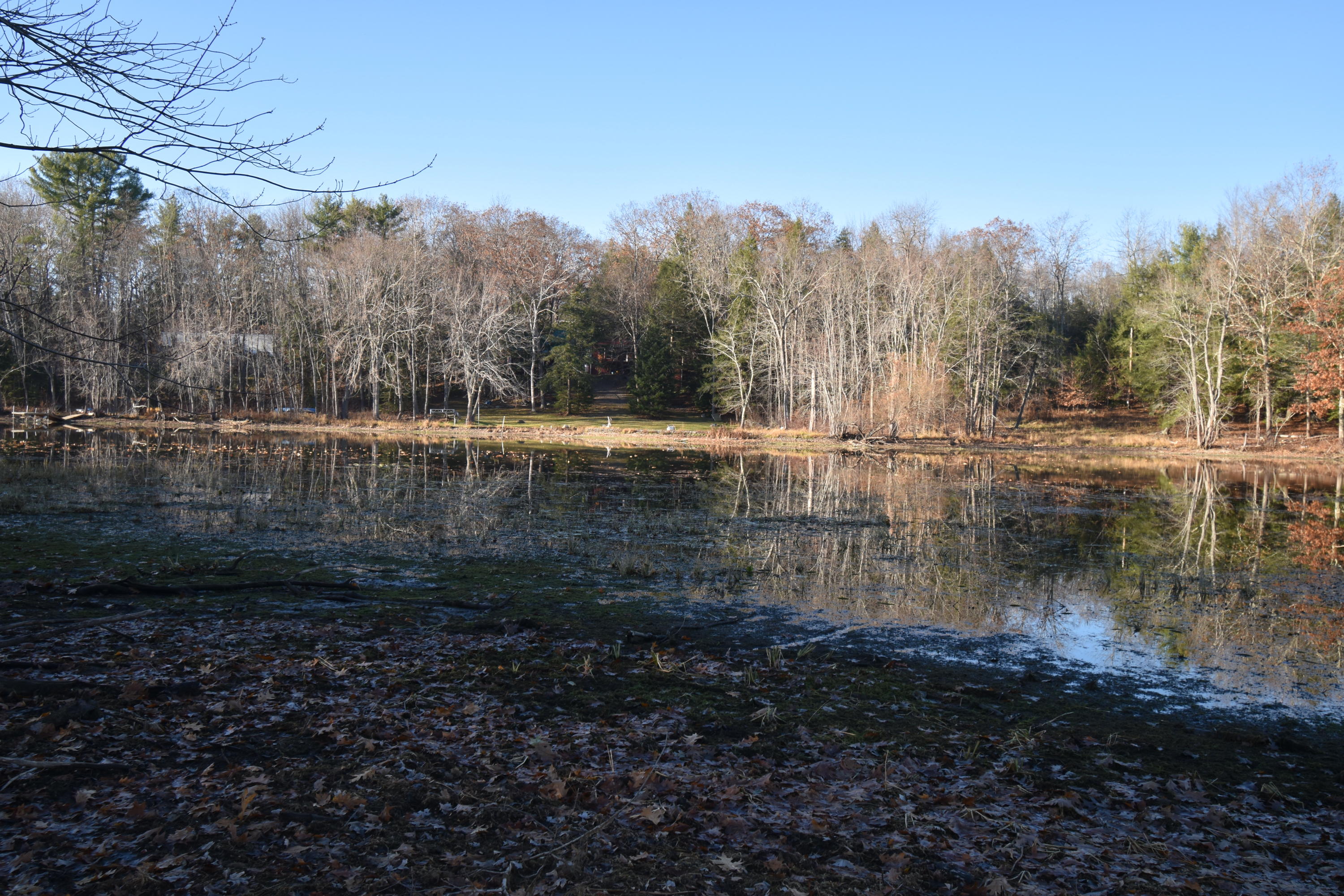 0 Lunts Hill Road Litchfield, ME 04350 - Photo 61 of 80 DSC_0901