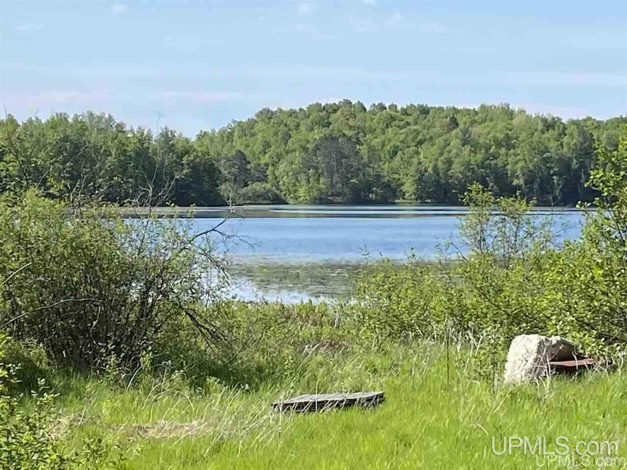 5373 Turtle Creek Road Florence, WI 54121 - Photo 3 of 15 Gallery Image 3