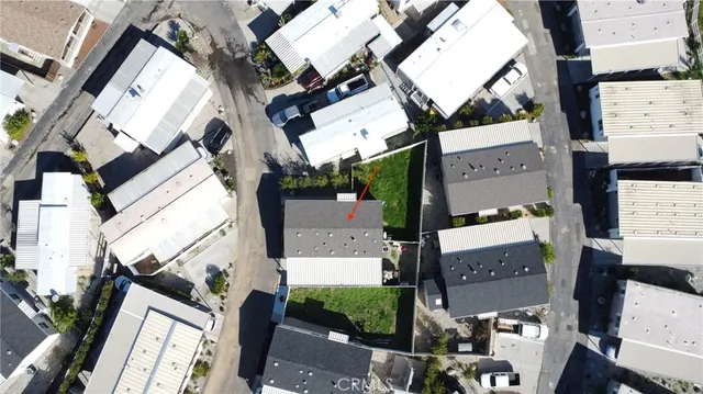 a view of a yard with plants and trees