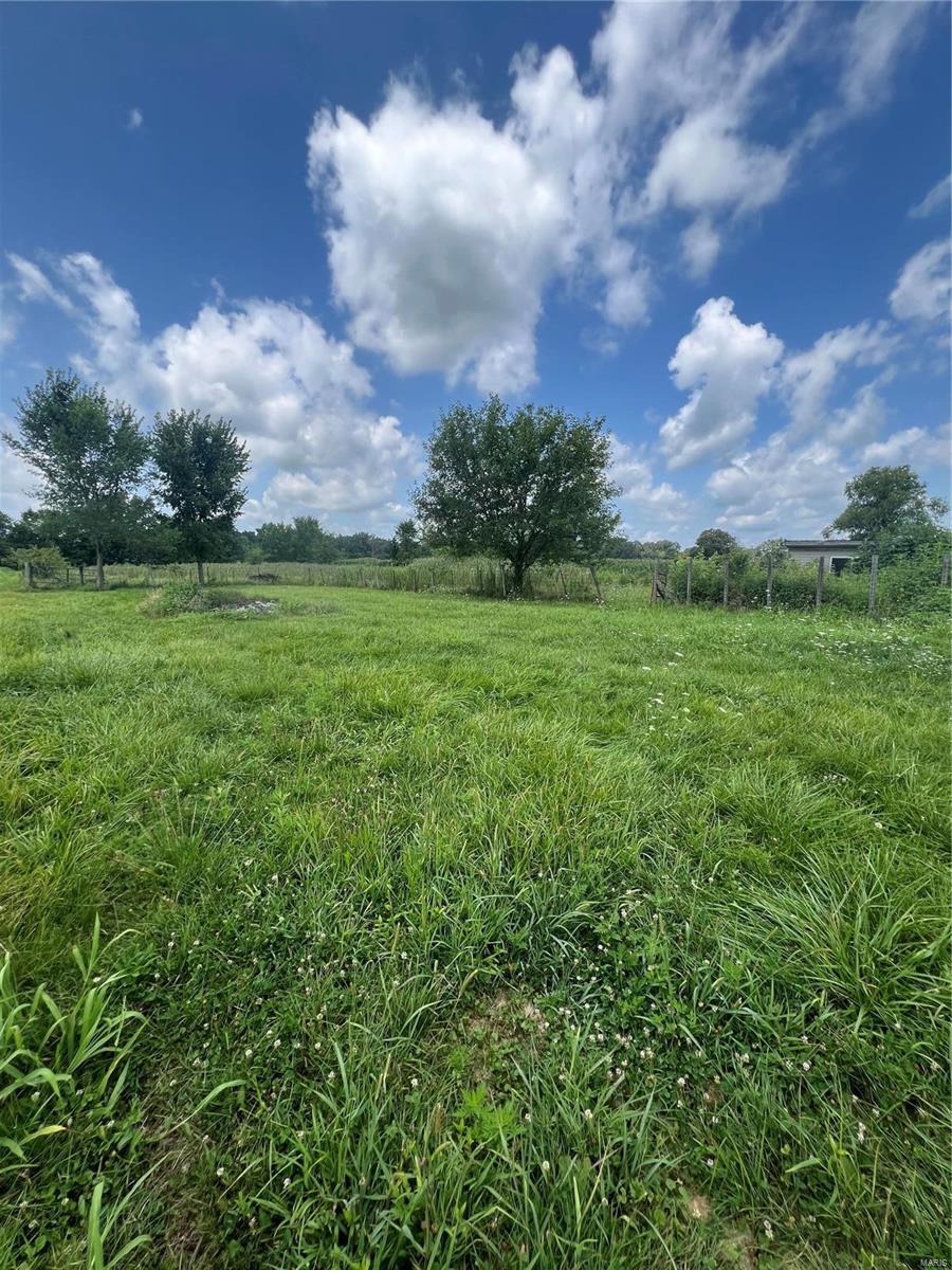 9351 Paul Meyer Road Worden, IL 62097 - Photo 15 of 23