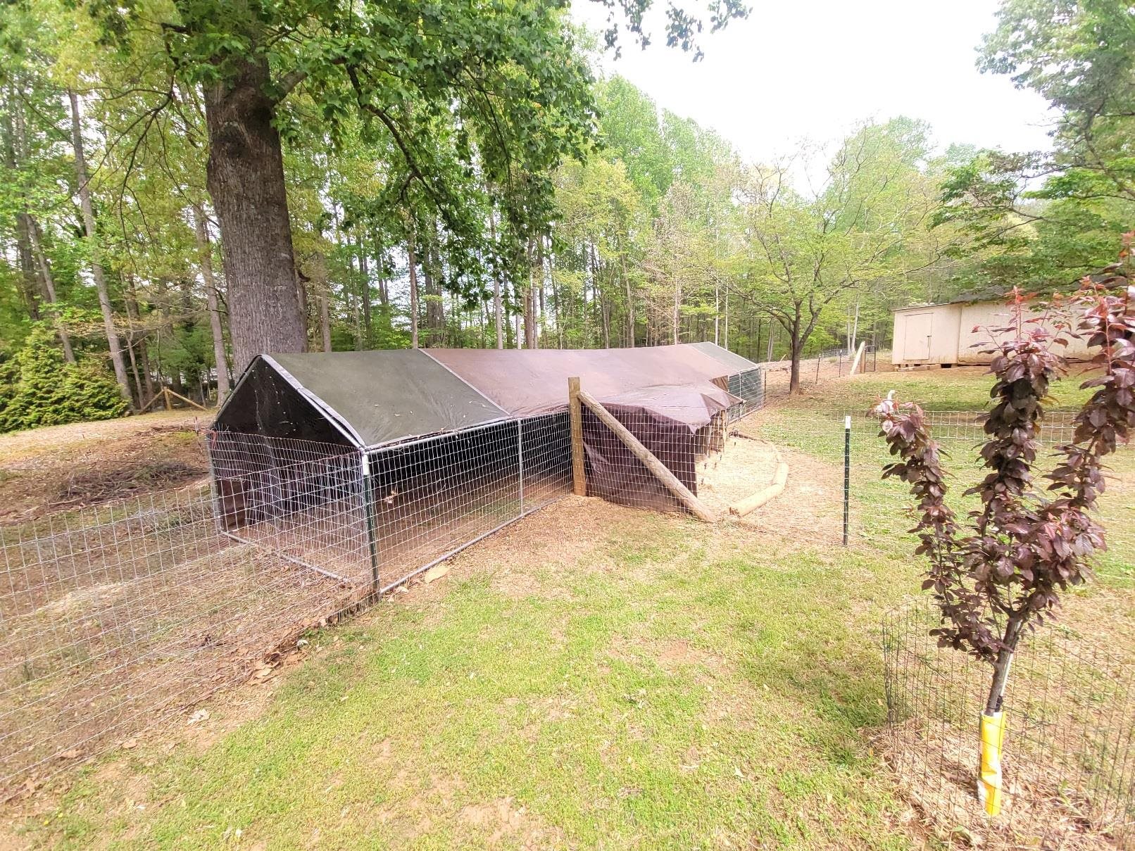1123 State Rd S-11-54 Gaffney, SC 29340 - Photo 32 of 44 Gallery Image 32
