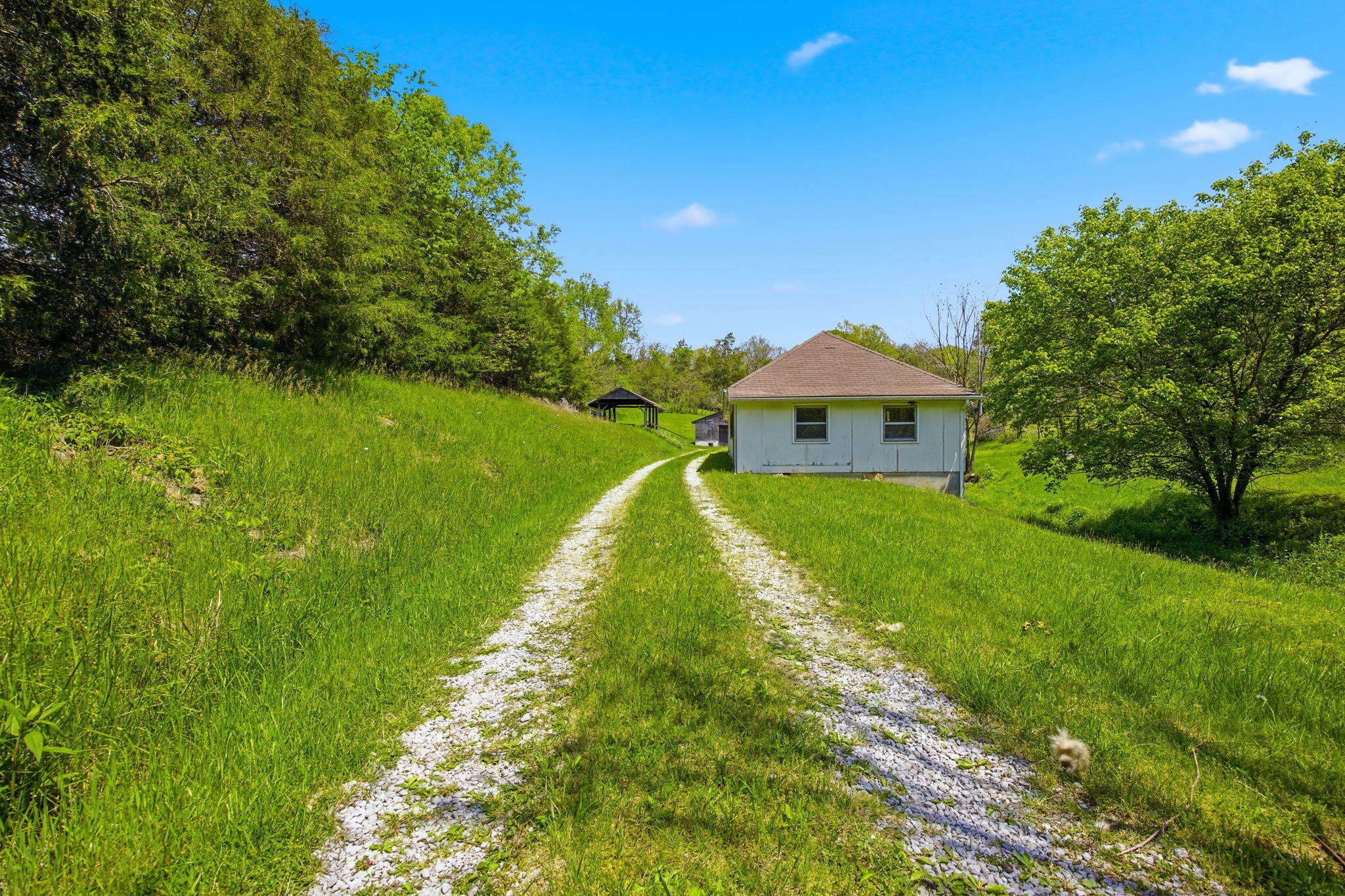 381 North Rays Fork Road Sadieville, KY 40370 - Photo 41 of 77 45-web-or-mls-040NRays Fork
