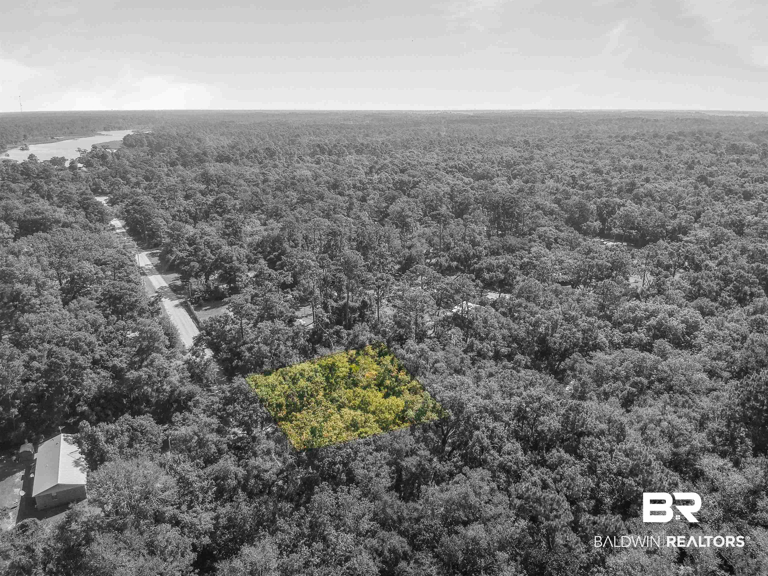 0 Mullet Lane Foley, AL 36535 - Photo 4 of 10 Gallery Image 4