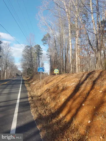 a view of flowing water with large trees
