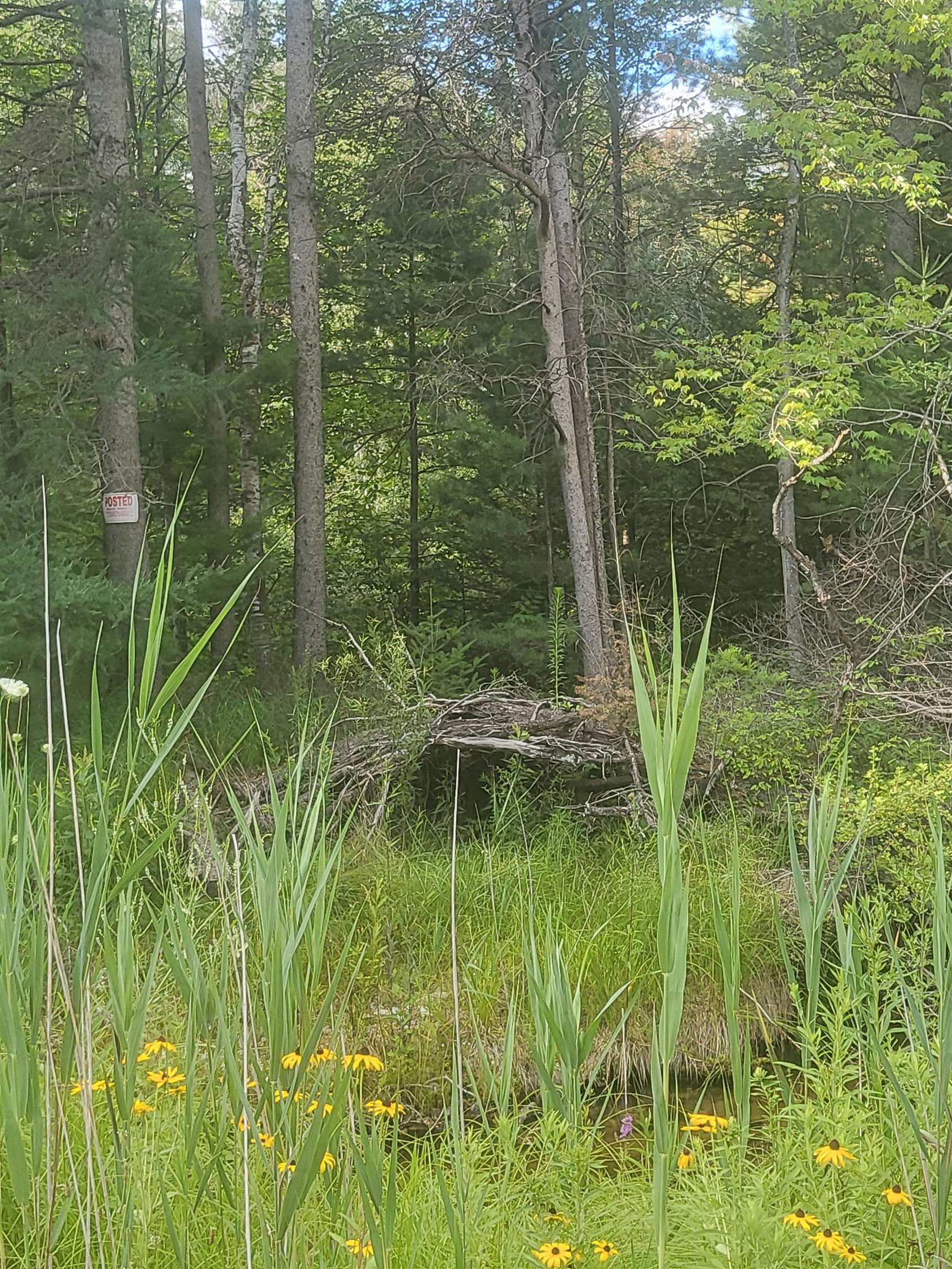 0 Curtis Road Hale, MI 48739 - Photo 6 of 24