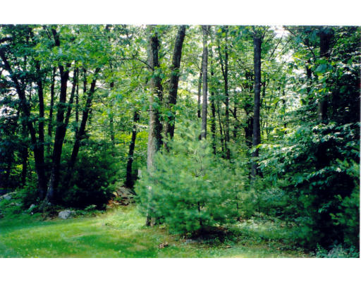 234 Blue Ridge Road North Andover, MA 01845 - Photo 2 of 15 Gallery Image 2
