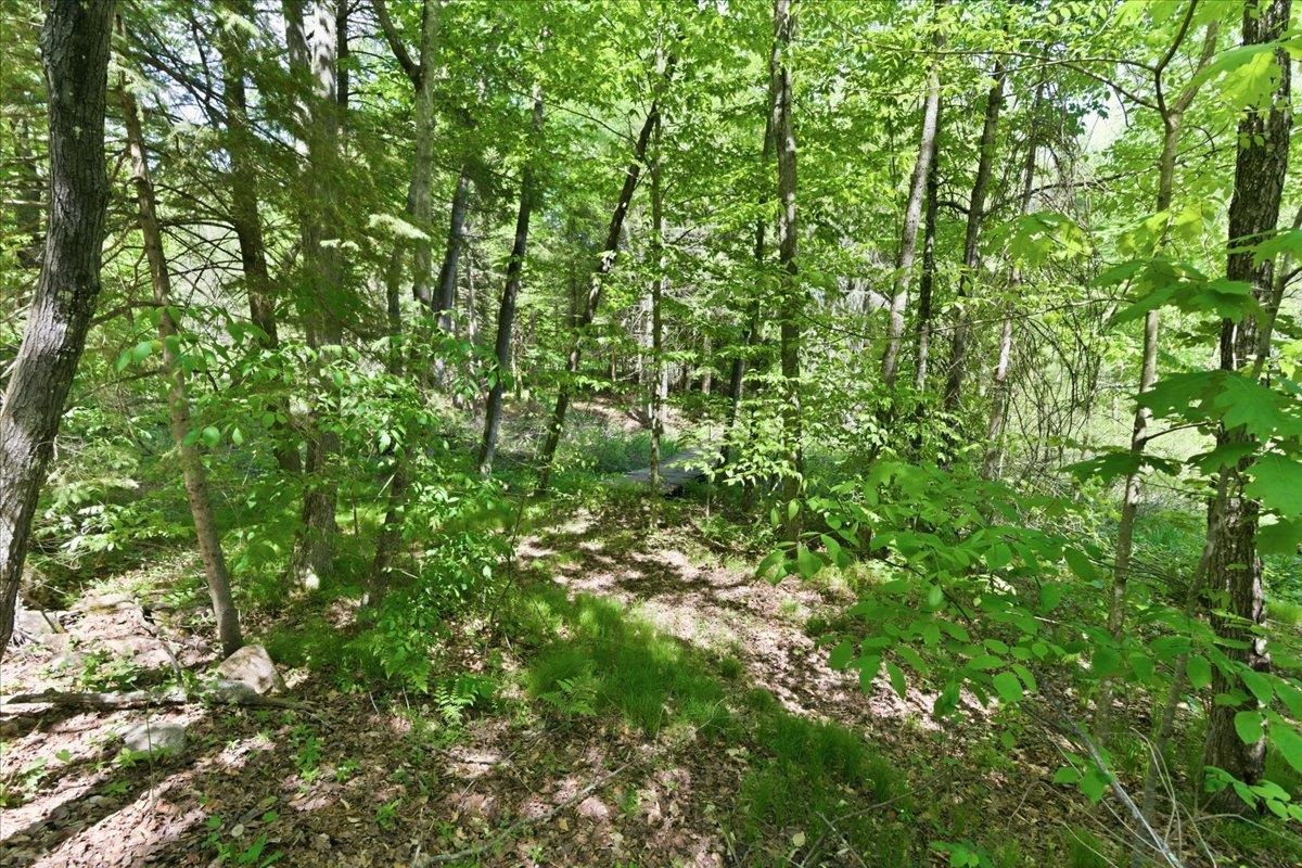 14754 North McComb Lake Road Mountain, WI 54149 - Photo 73 of 82