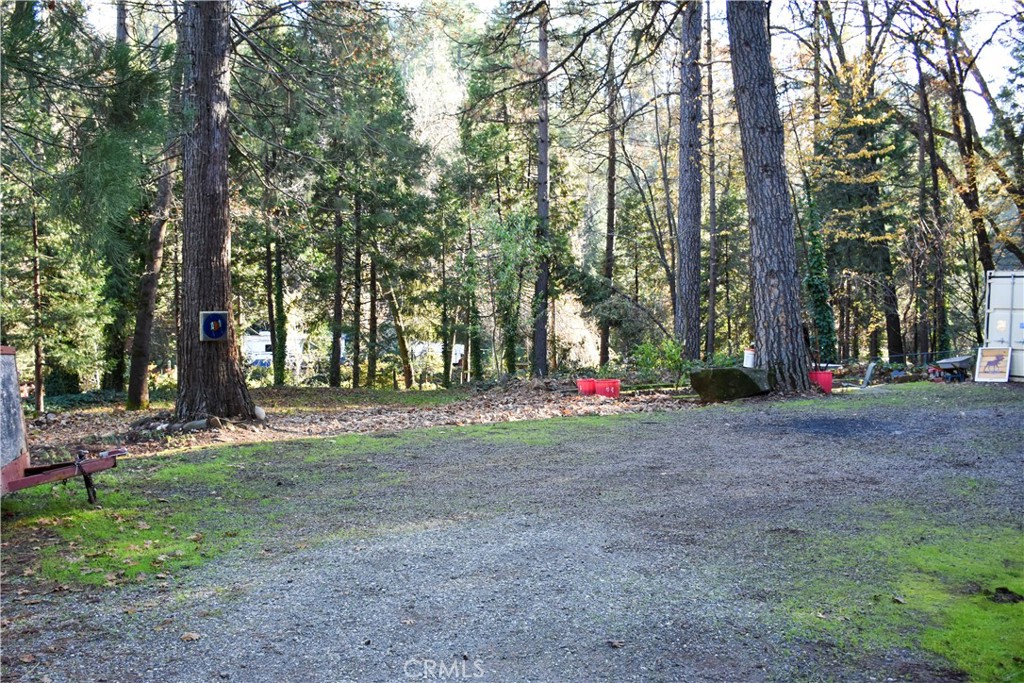 4728 Hartley Drive Forest Ranch, CA 95942 - Photo 28 of 33 a view of outdoor space with trees