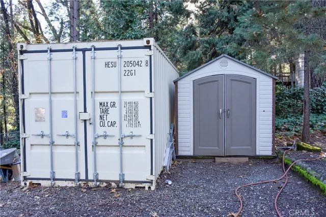 a bunch of flowers in a garden