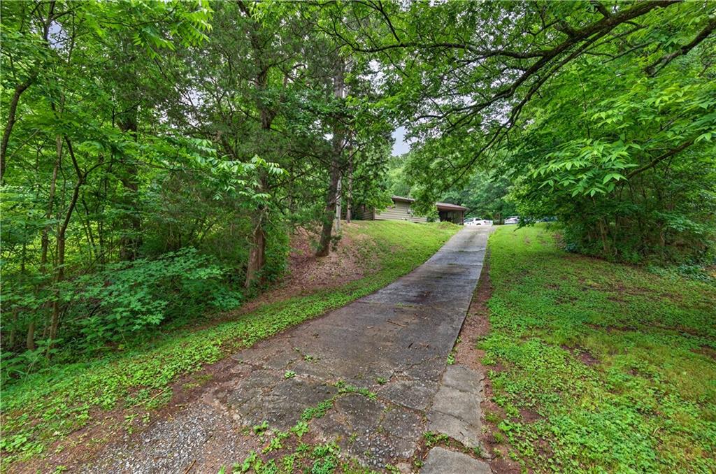 4399 Highway 411 Rydal, GA 30171 - Photo 20 of 37 a view of a garden with plants