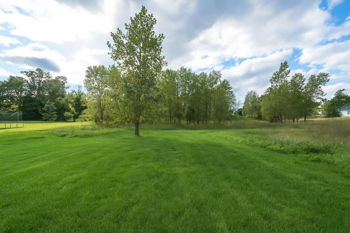 9758 Iosco Ridge Drive Gregory, MI 48137 - Photo 4 of 48 Exterior BACKYARD 9758 Iosco Ridge (Medi