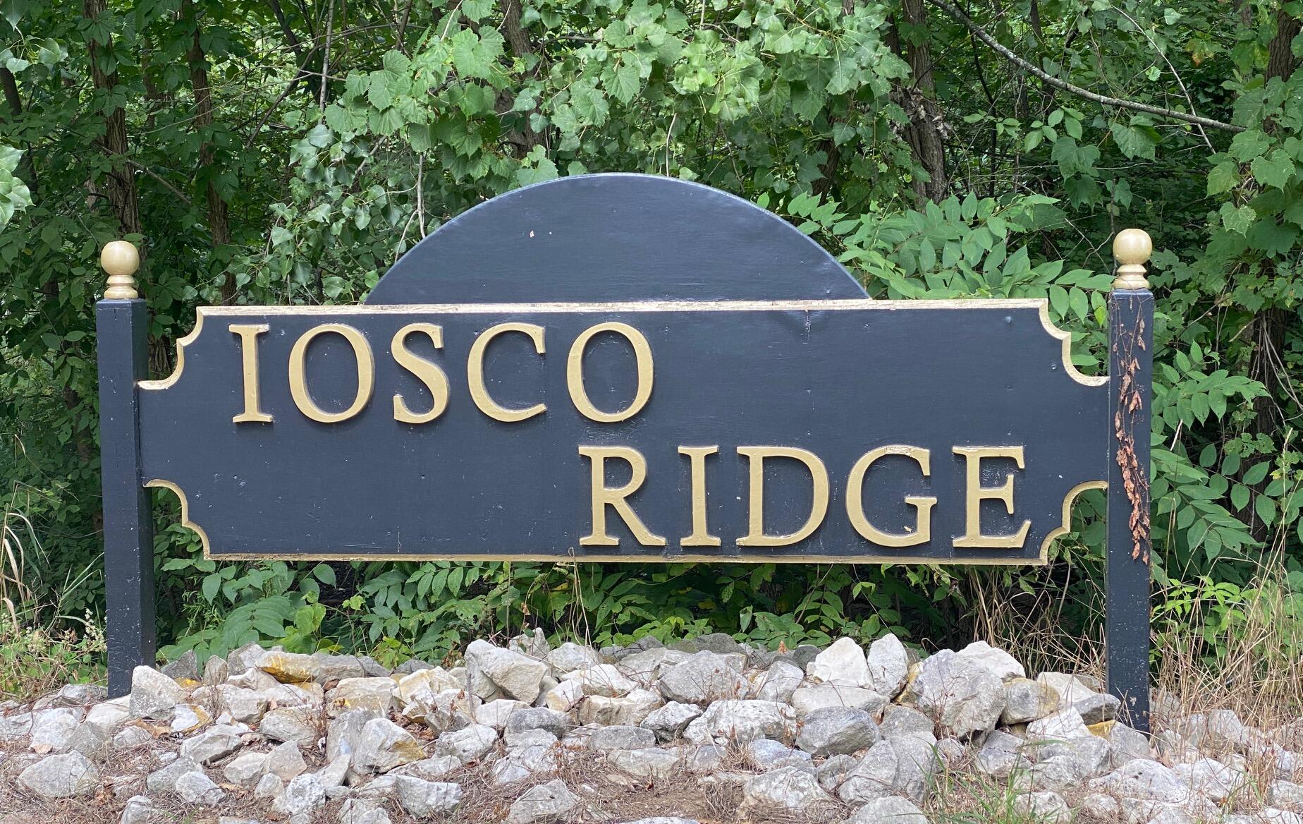 9758 Iosco Ridge Drive Gregory, MI 48137 - Photo 9 of 9 Sign to Iosco