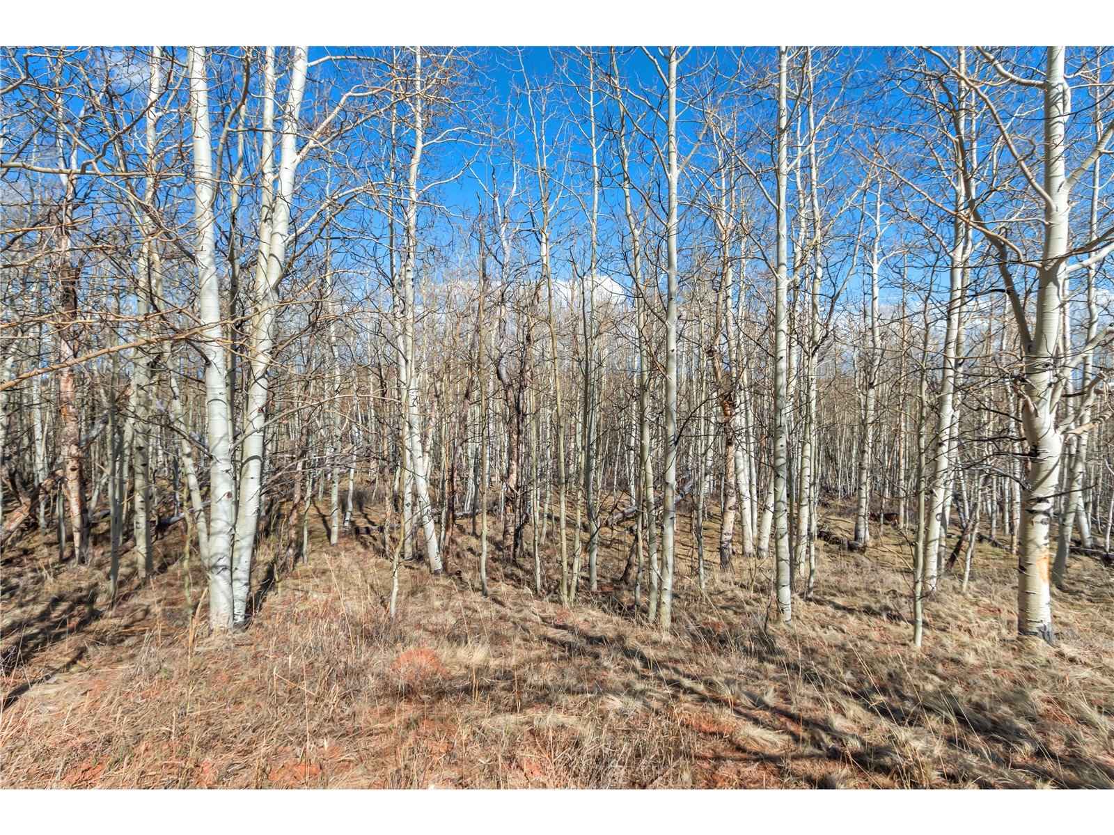 198 Lumberjack Road Fairplay, CO 80440 - Photo 5 of 6 Gallery Image 5