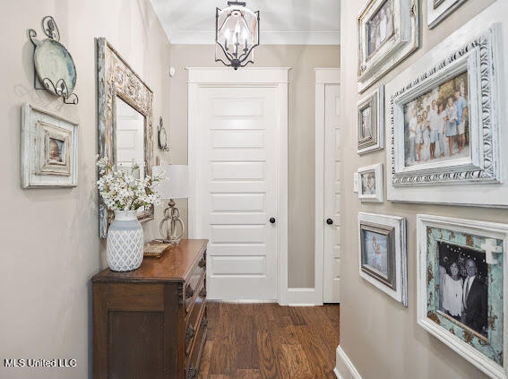1480 Southern Rdg Trail Olive Branch, MS 38654 - Photo 38 of 81 Hallway