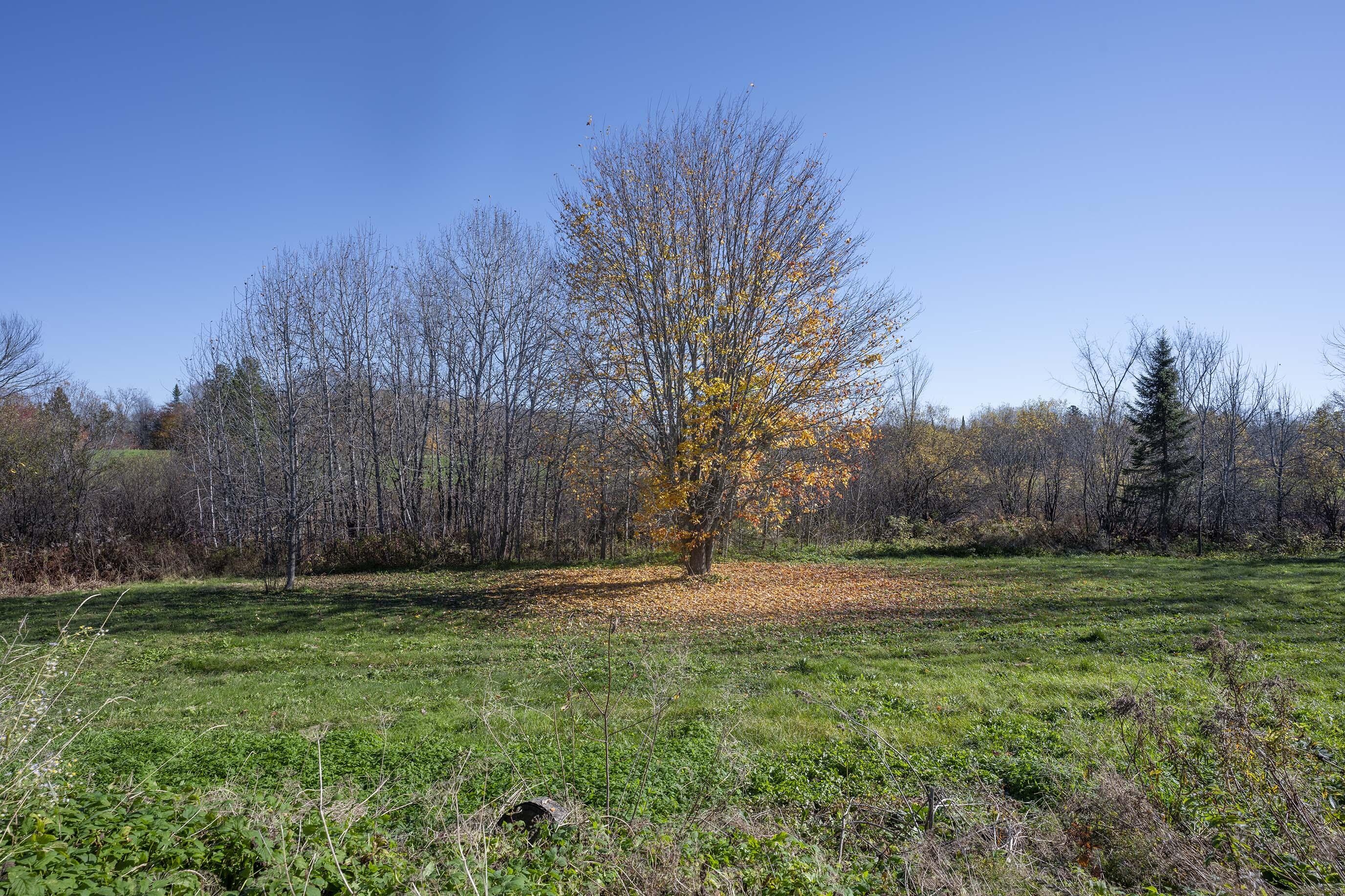 94 Town Line Road Houlton, ME 04730 - Photo 53 of 55 Countryside