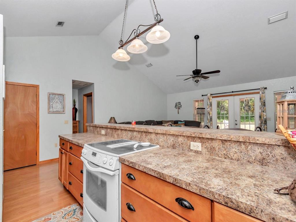 23608 Northeast 124th Place Road Fort McCoy, FL 32134 - Photo 14 of 49