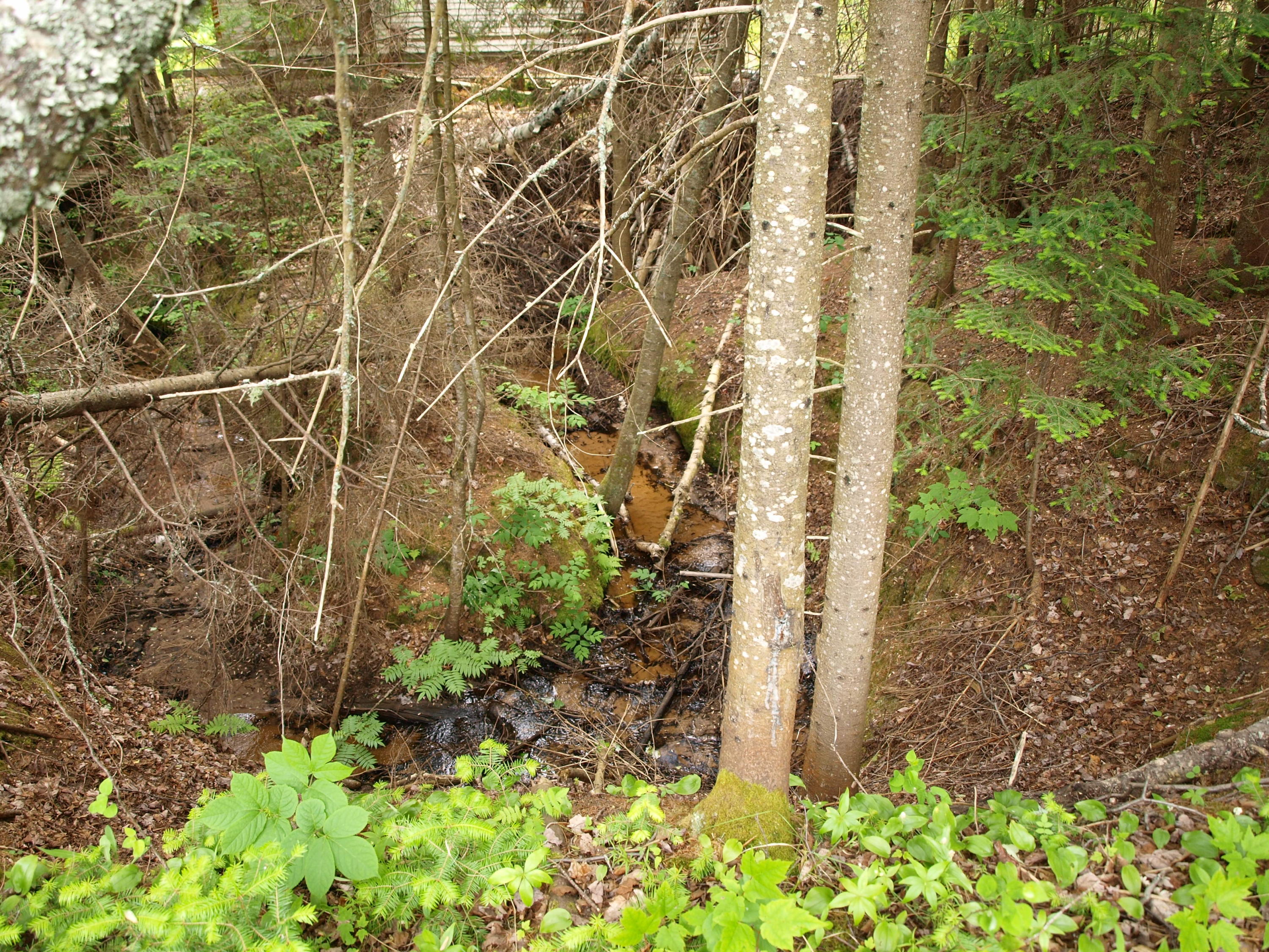 8418 North Whitefish Point Road Paradise, MI 49768 - Photo 52 of 60 Gallery Image 52