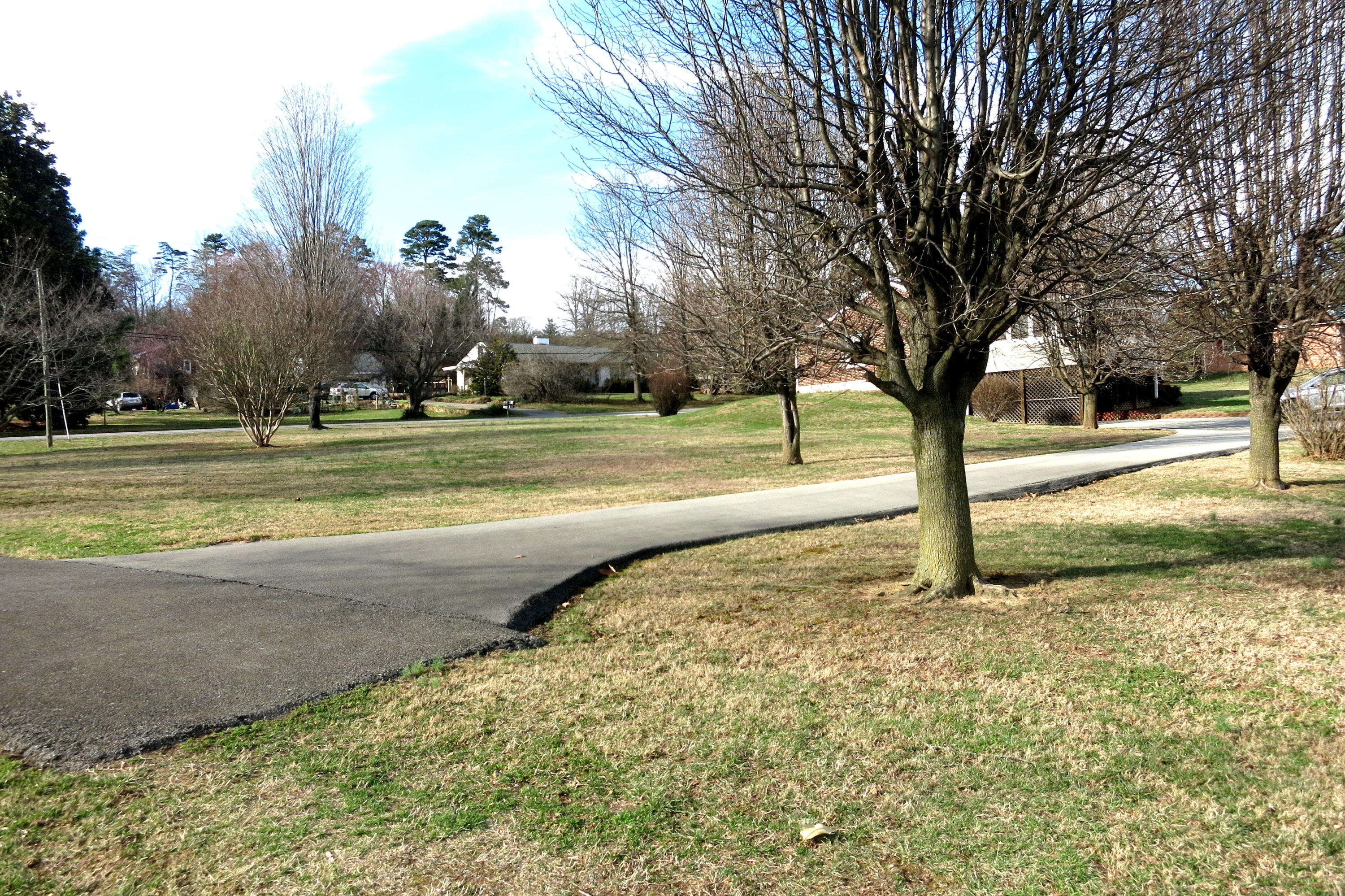 6911 Dallas Road Roanoke, VA 24019 - Photo 11 of 57 Extra Driveway