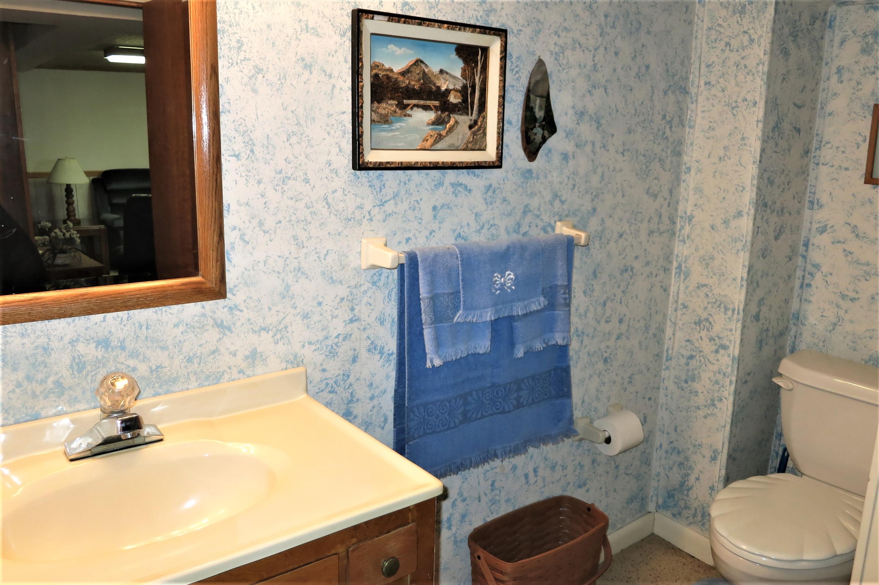 6911 Dallas Road Roanoke, VA 24019 - Photo 57 of 57 Bath Downstairs