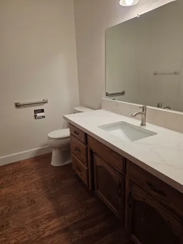 a bathroom with a sink and a toilet