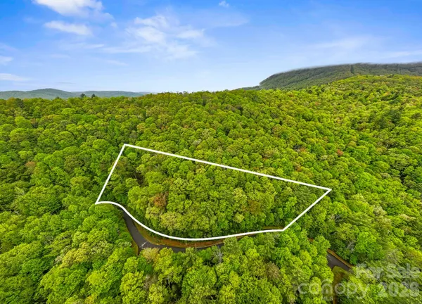 $110,000 | Tbd Hickory Shaft Drive, Sapphire, NC 28774