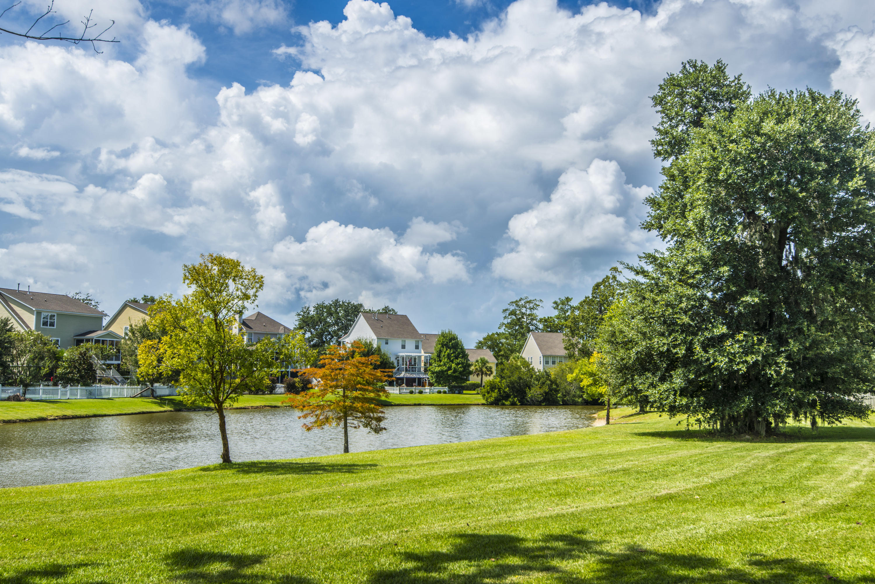 2263 Sandy Point Lane Mount Pleasant, SC 29466 - Photo 61 of 68 _DSC1619