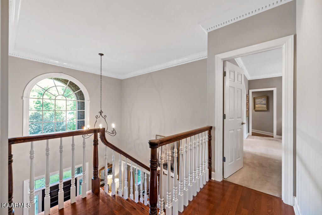 109 Cypress Lane Oak Ridge, TN 37830 - Photo 26 of 51 Cyprss109 (54)