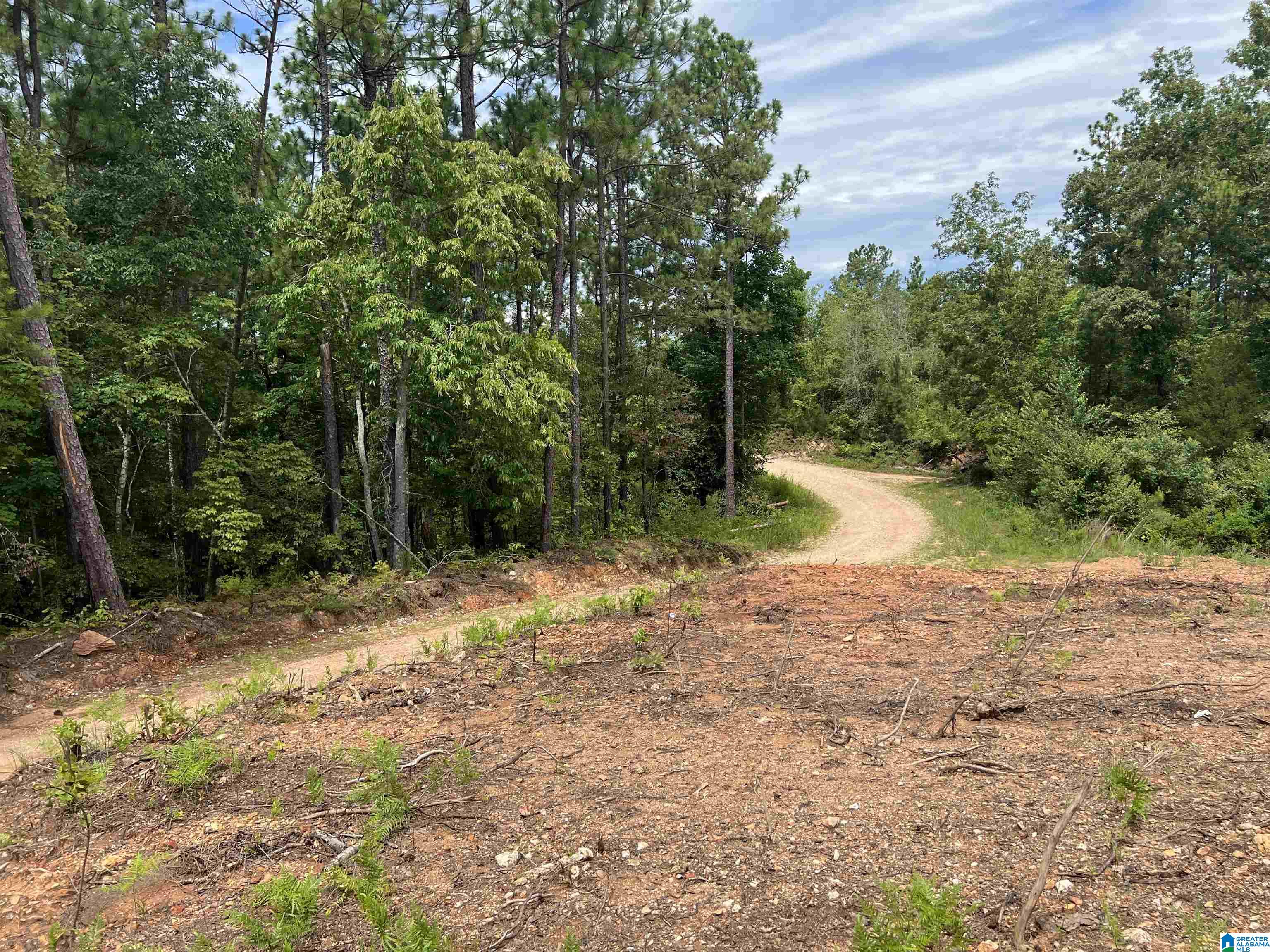 0 County Road 188 Clanton, AL 35046 - Photo 18 of 20