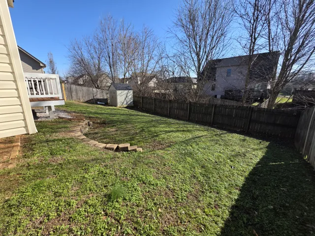 a view of a backyard with a large tree